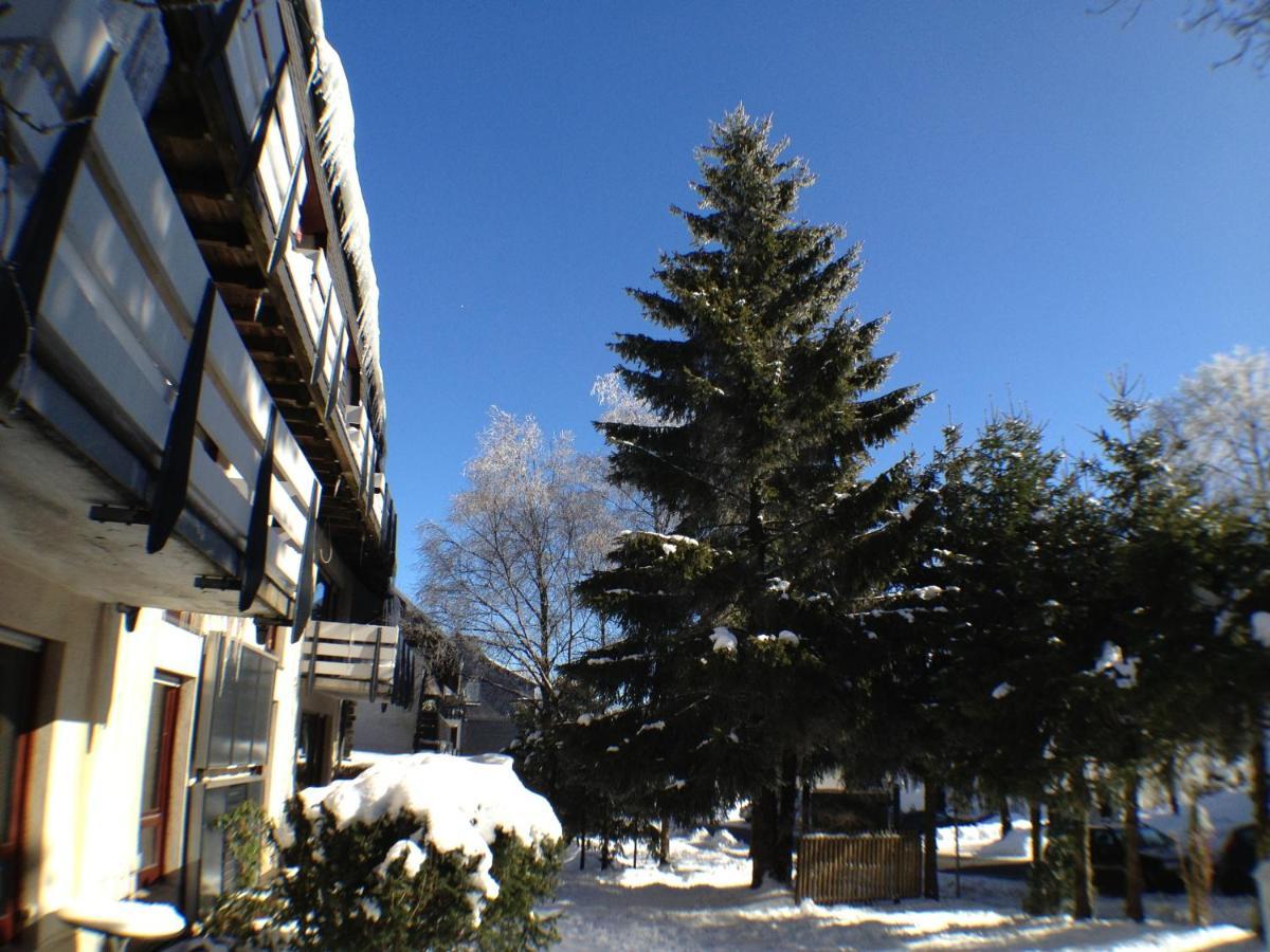 Ferienwohnung Haus Merian Winterberg Exterior foto