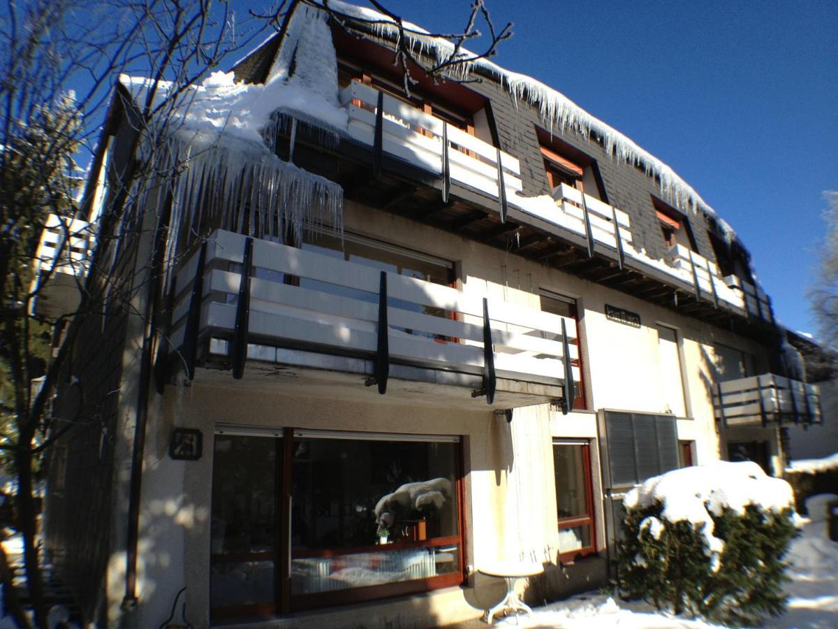 Ferienwohnung Haus Merian Winterberg Exterior foto